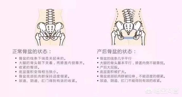 产后如何快速收盆骨和瘦肚子？有什么不影响母乳的方法？