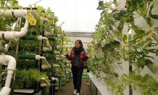 常跟花草在一起人很少生病，你知道吗？