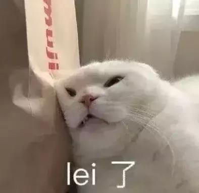 天不怕地不怕，就怕熊孩子放假！有这18部动画片我不信盘不了他们