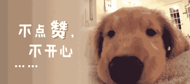 为什么十个宝宝九个爱扯袜子？原因终于找到了