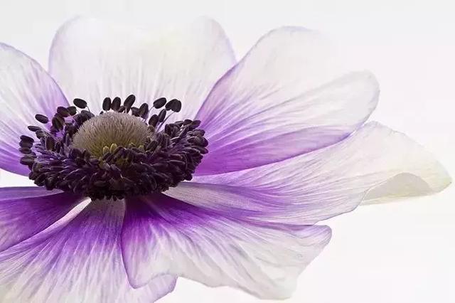 修复孩子内心创伤的六句话