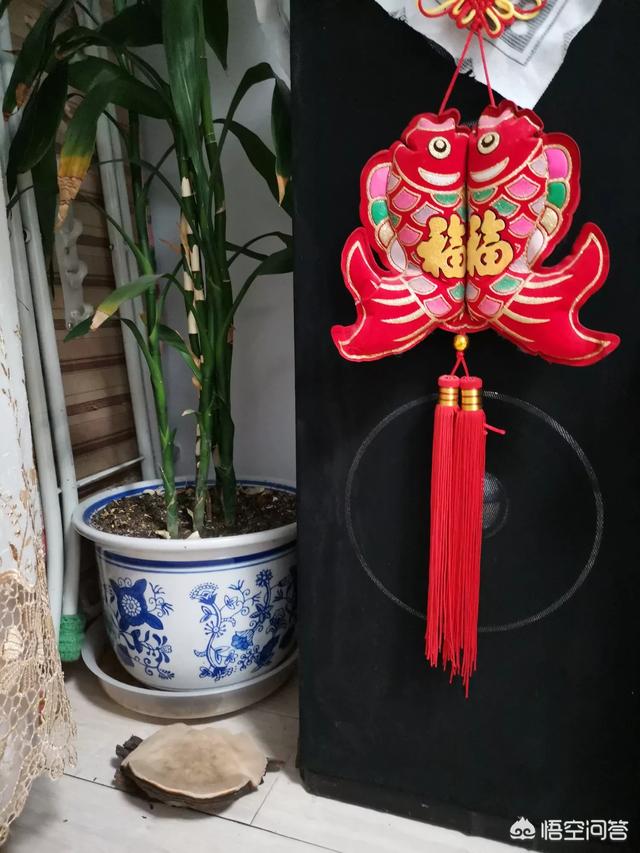你觉得过年给孩子发压岁钱是陈规陋俗还是美好祝愿？