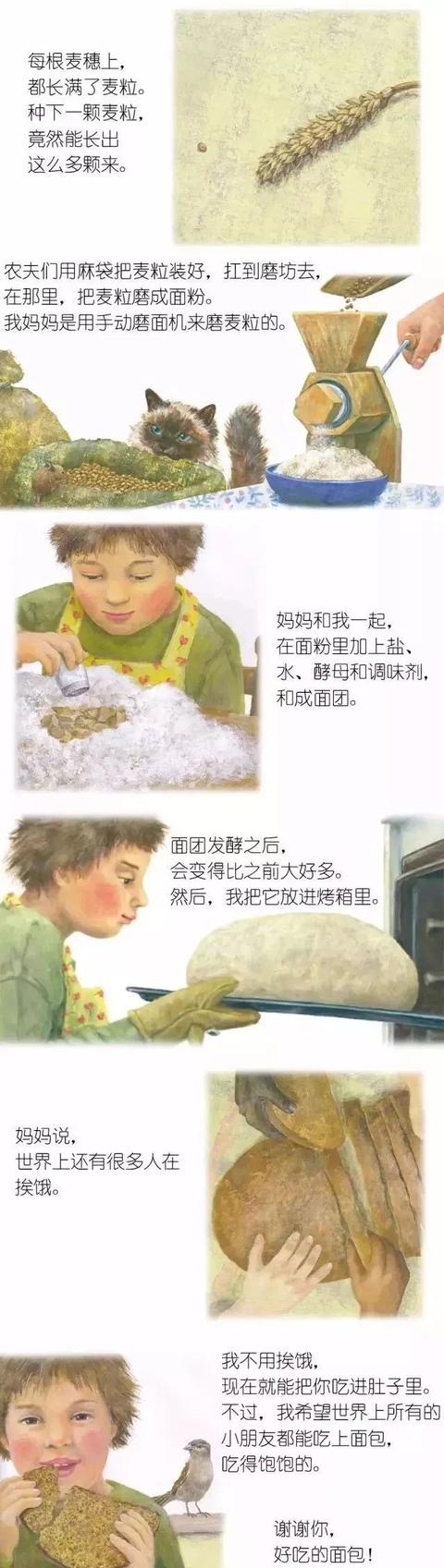 「中文有声绘本」《谢谢你,好吃的面包》