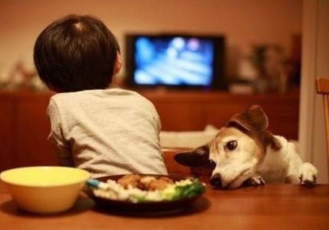 如果孩子出现这3种情况，正是营养不良的表现，家长要及时补充哦