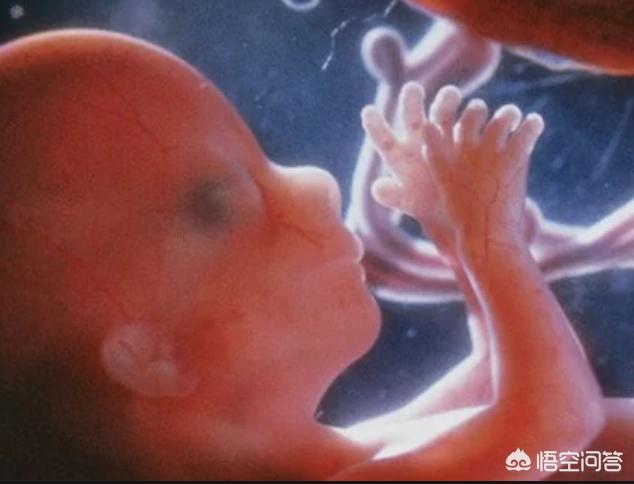 听说以前小孩子生下好几天才睁开眼，现在生下来就能睁开眼，为什么？