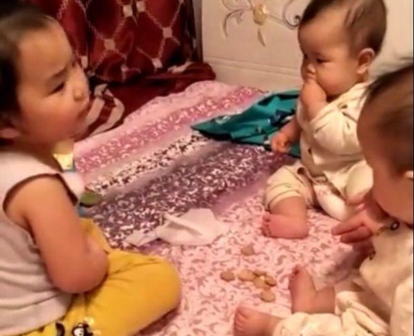 姐姐给弟弟开家庭会议，网友：这是又要骗人生双胞胎吗？