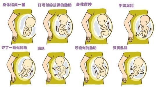 怀孕6个月，感觉胎动很厉害是什么原因？这种胎动的感觉好奇妙