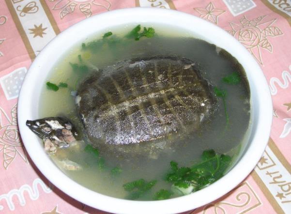 卵子质量好，是好孕的前提，这3种食物，备孕女人别错过！