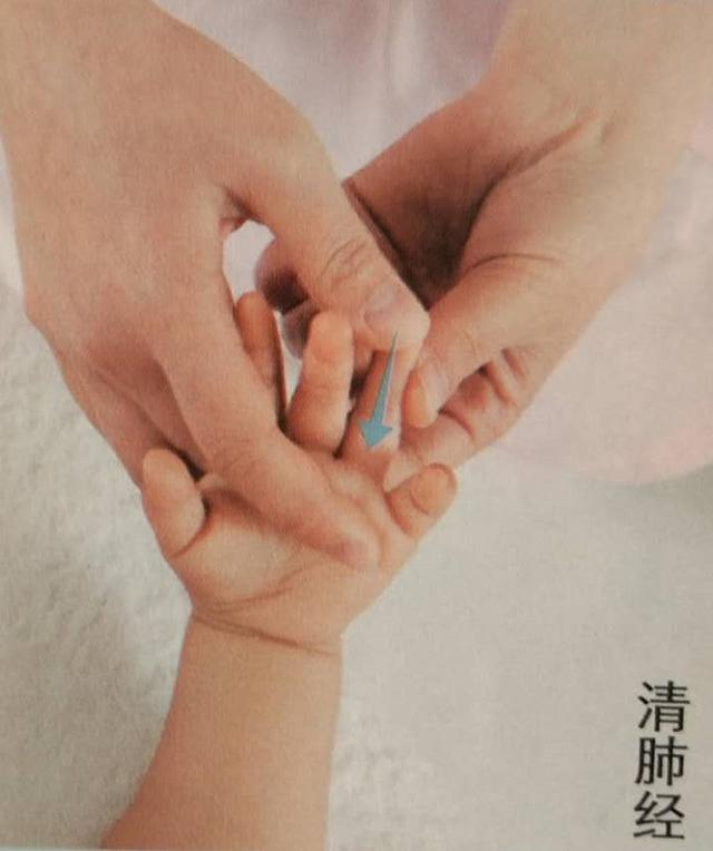 小儿湿疹：“肺主皮毛”及“诸般痒痛皆属于心”，清心肺湿热为主