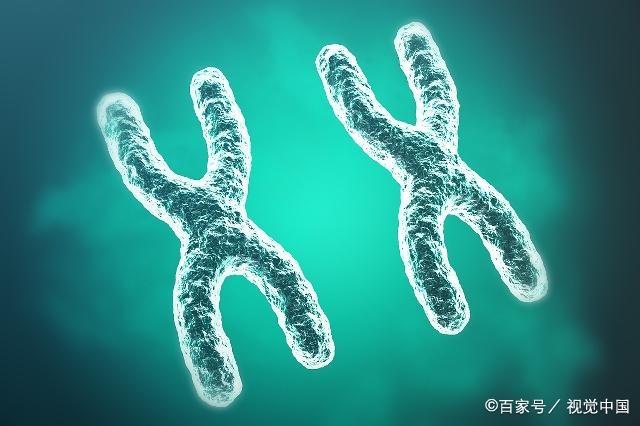 夫妻的最佳年龄差是几岁？如果接近这个数，那宝宝有福气了！