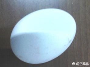 鹅蛋怎么做好吃？孕妇能吃吗？