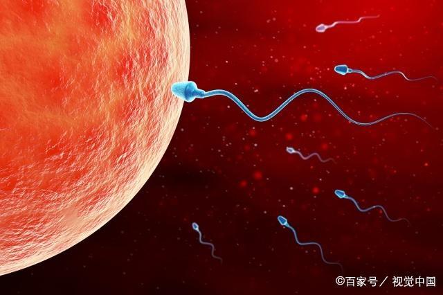 什么样的男人，更易让女人怀孕？可以通过这3个方面自查一下！