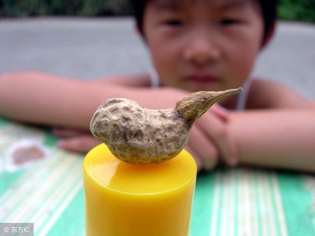 春节临近，6岁男童吃花生窒息，急救方法赶紧记下来，大人也适用