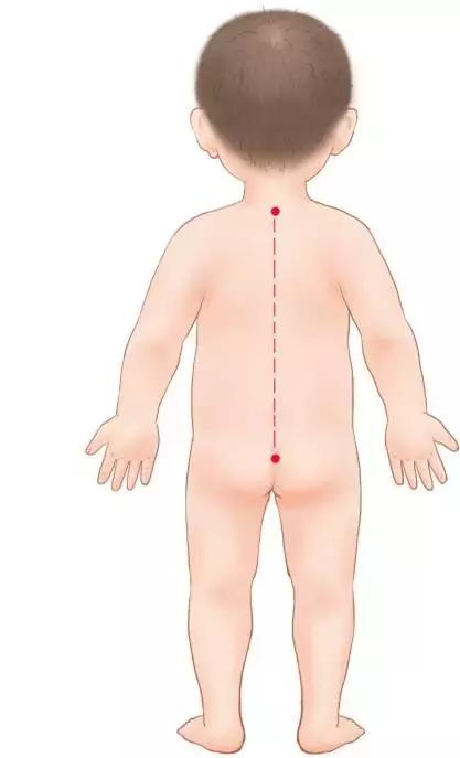 孩子背上有一条生命线，没事儿多捏一捏，可以能减少生病呢