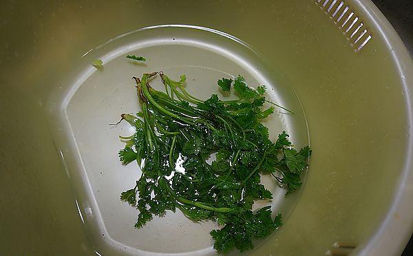宝宝湿疹不想用药，快来试试天然法宝，香菜水