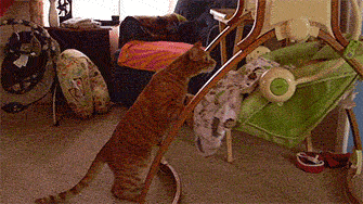 做母亲是一场修行？不！明明是一场战斗！