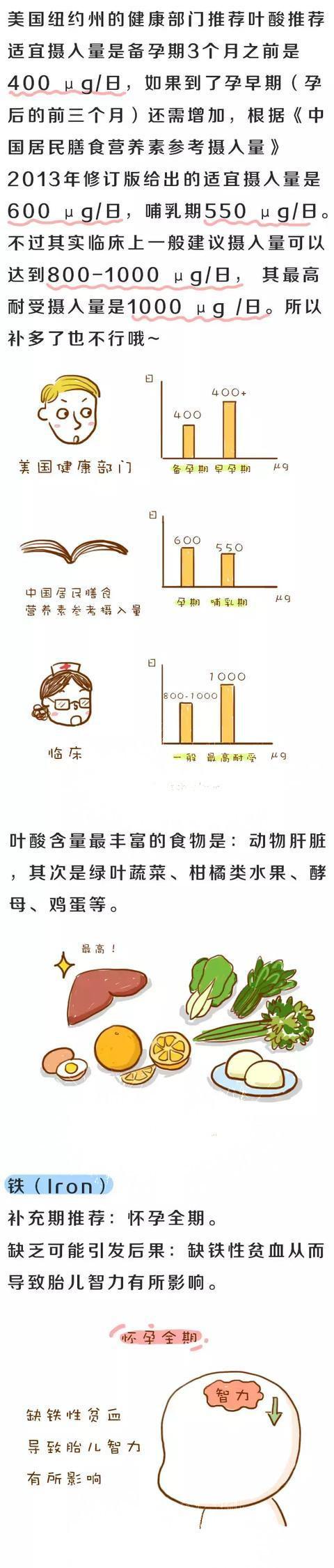 孕期准妈需要补充哪些营养元素？