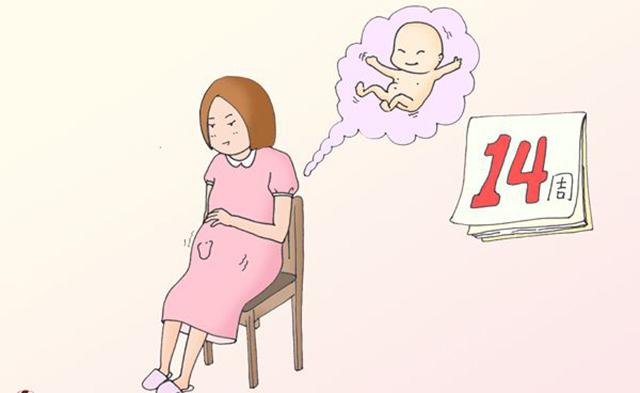 准妈妈数胎动的故事：胎动太多或太晚都让人担心！原因很复杂！