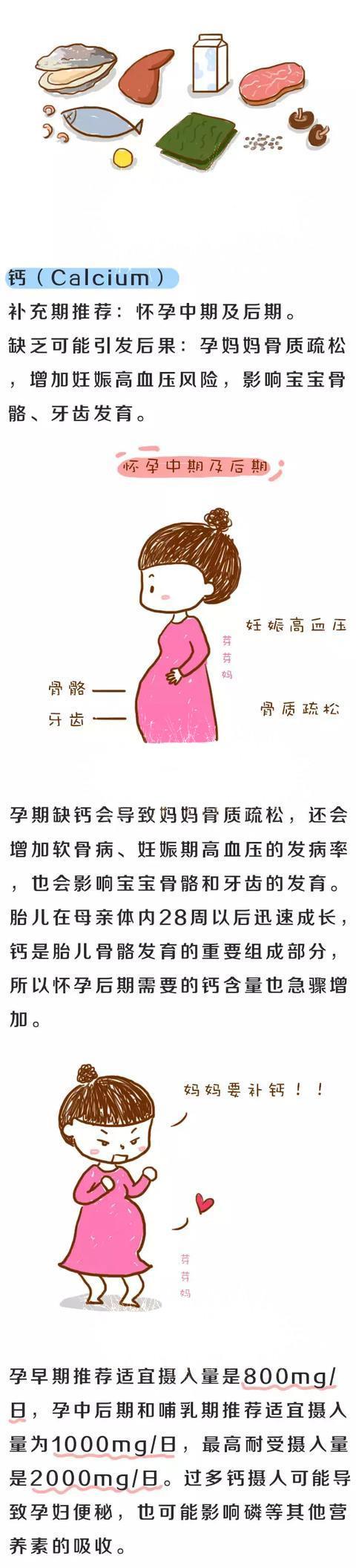 孕期准妈需要补充哪些营养元素？