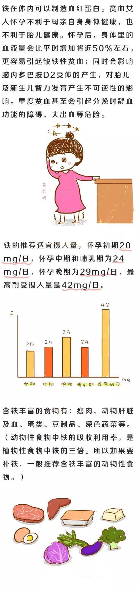 孕期准妈需要补充哪些营养元素？