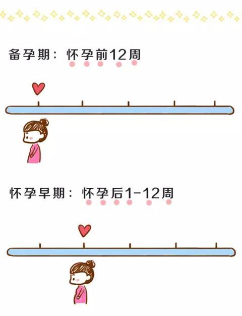 孕期准妈需要补充哪些营养元素？