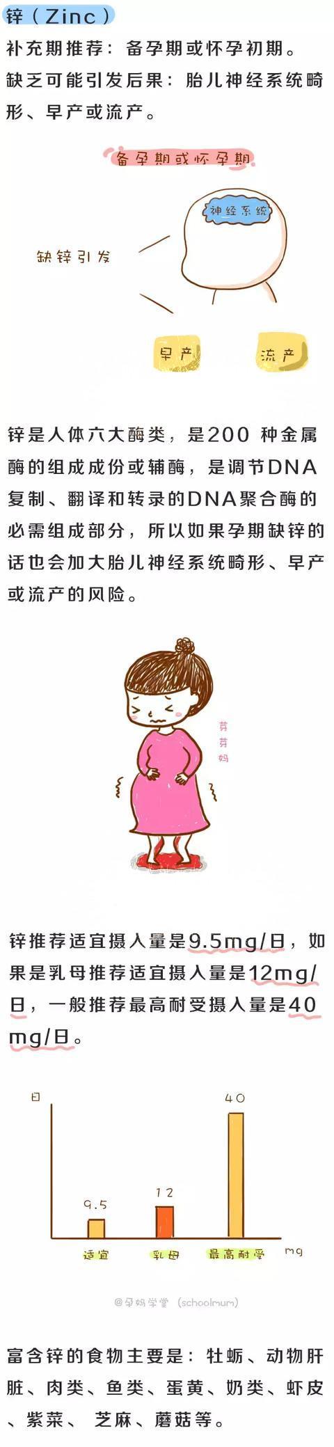 孕期准妈需要补充哪些营养元素？