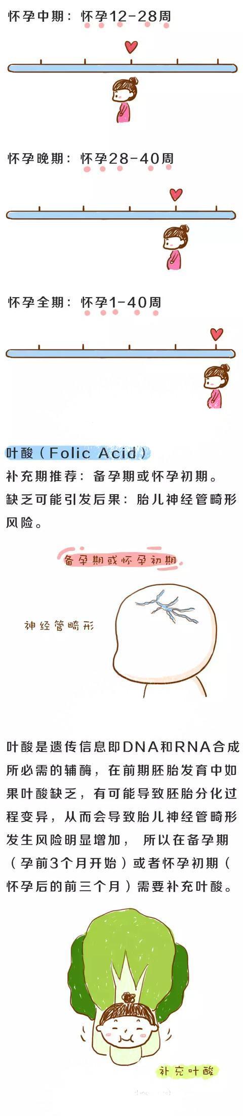 孕期准妈需要补充哪些营养元素？