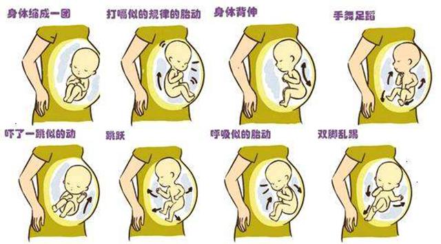 准妈妈数胎动的故事：胎动太多或太晚都让人担心！原因很复杂！