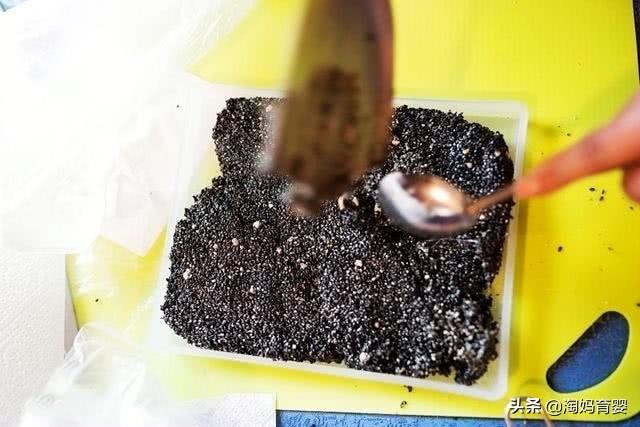 冬季养胎，这4样食物孕妇别错过，对自己和胎儿都好