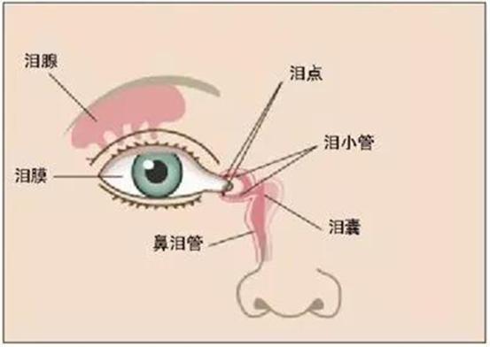 宝宝眼屎多就是上火？有可能是疾病惹的祸！