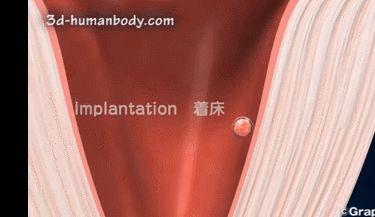 孕期出血的几率远高于你的想象，这一点可能要命！