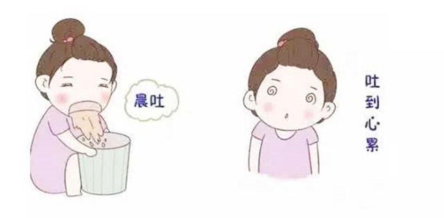 有些人孕吐很厉害，有些人一点反应都没有，这是为何？区别有3点