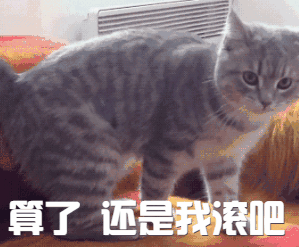 没想到！这20个关于宝宝的喂养方式都是错的，快看看你做了几个？