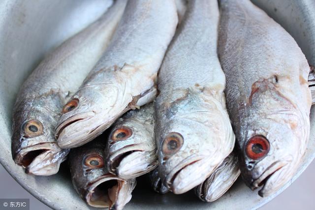 这三种鱼不光刺少，还利于宝宝智力发育，你因该选对了吧！