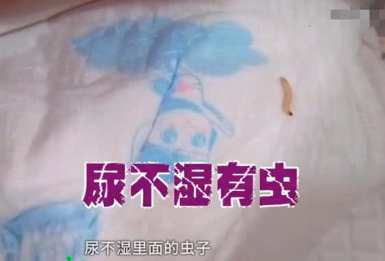 宝妈买尿不湿，存放三天竟发现尿不湿有虫，店家：这五万赔不了