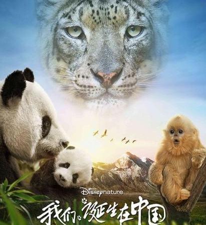 10部孩子可反复看的高评分电影，寒假陪孩子看个够，好玩又有意义