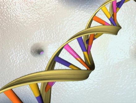 DNA测试发现精子捐献者竟是直系亲属 母亲被警告