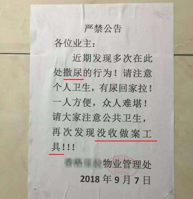 随地小便的惩罚，以没收工具为主，看完不禁一颤，最后一个更绝