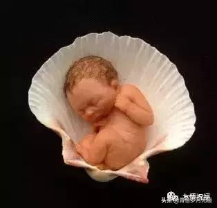 她太漂亮了，实在太！漂亮了！忍不住发给你看看！