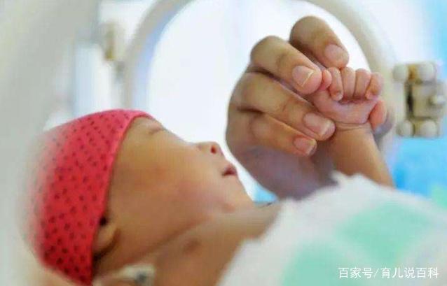 2019年，出生在这3个月的“猪宝宝”，长大后最有福气