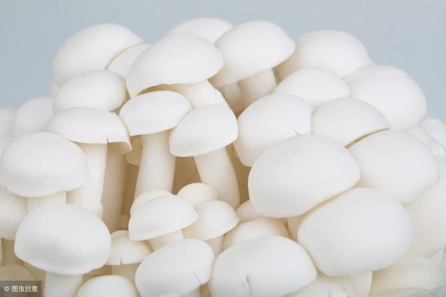 别再给孩子吃蛋羹啦，这么做更补钙还吃不腻