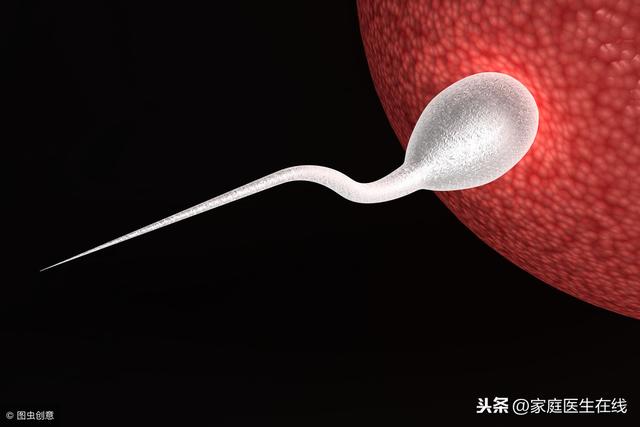 一个卵子只能跟一个精子结合，那么其他的精子跑哪儿去了？