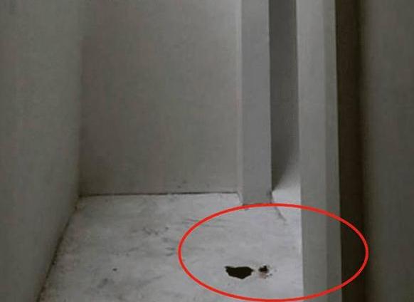8岁男孩出去遛狗，却再也没能回来，妈妈得知真相心都碎了！