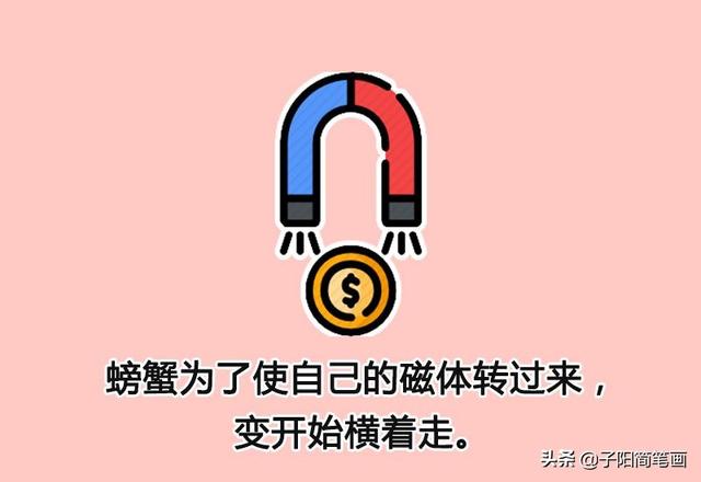 简笔画知识：为什么螃蟹都是横着走