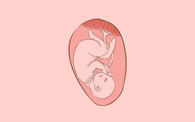 怀孕后肚子能让别人摸吗？这4种情况下，孕妈要学会拒绝