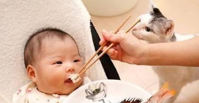 最适合孩子吃的八种鱼，刺少、肉多，关键还特别补大脑