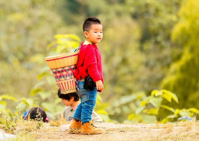 妈妈越是淡定，孩子越能放开手脚去探索，未来也会越幸福