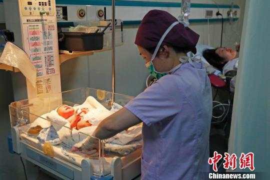 “幸孕”跨年 上海一妇婴半小时降生3个“金猪宝宝”