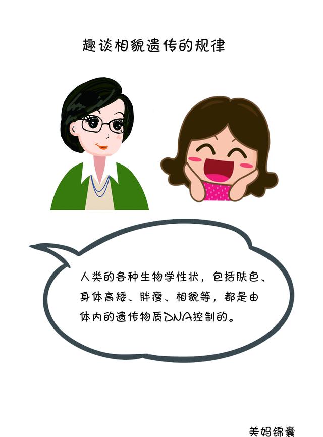 趣谈相貌遗传的规律