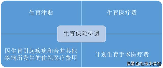 生育保险能报多少钱？能报哪些项目？准妈妈们速来围观